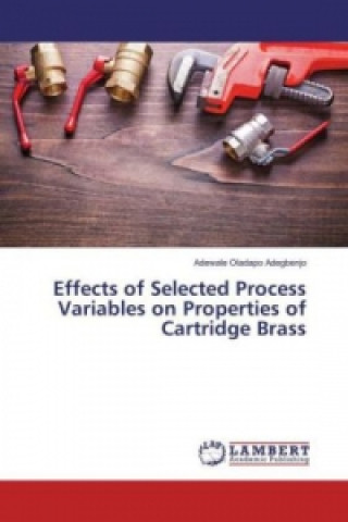 Kniha Effects of Selected Process Variables on Properties of Cartridge Brass Adewale Oladapo Adegbenjo