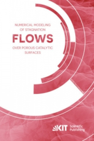 Buch Numerical Modeling of Stagnation Flows over Porous Catalytic Surfaces Hüseyin Karadeniz