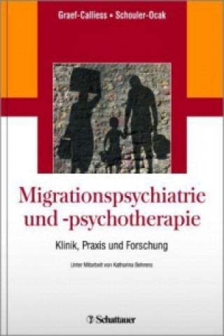 Kniha Migration und Transkulturalität Iris Tatjana Graef-Calliess