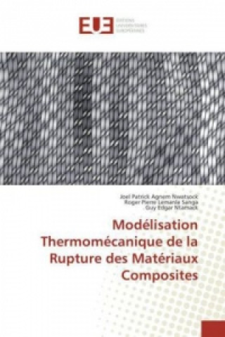 Kniha Modélisation Thermomécanique de la Rupture des Matériaux Composites Joel Patrick Agnem Nwatsock