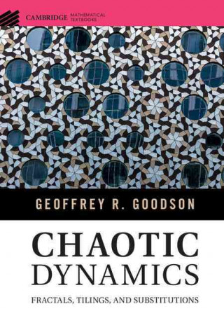 Kniha Chaotic Dynamics Geoffrey R. Goodson