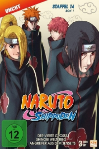 Video Naruto Shippuden. Staffel.14.1, 3 DVDs Hayato Date