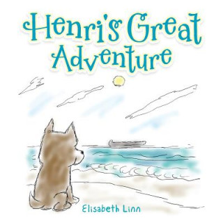 Könyv Henri's Great Adventure Elisabeth Linn
