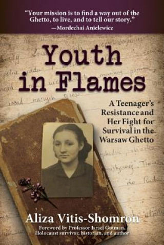 Könyv Youth in Flames Aliza Vitis-Shomron