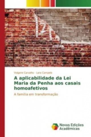 Книга A aplicabilidade da Lei Maria da Penha aos casais homoafetivos Volgane Carvalho