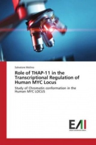 Kniha Role of THAP-11 in the Transcriptional Regulation of Human MYC Locus Salvatore Molino