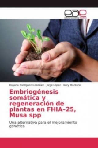 Carte Embriogénesis somática y regeneración de plantas en FHIA-25, Musa spp Dayana Rodríguez González