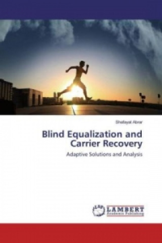 Книга Blind Equalization and Carrier Recovery Shafayat Abrar