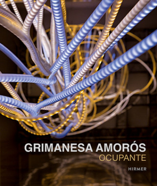 Kniha Grimanesa Amoros: Ocupante Beate Reifenscheid