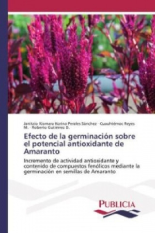 Kniha Efecto de la germinación sobre el potencial antioxidante de Amaranto Janitzio Xiomara Korina Perales Sánchez