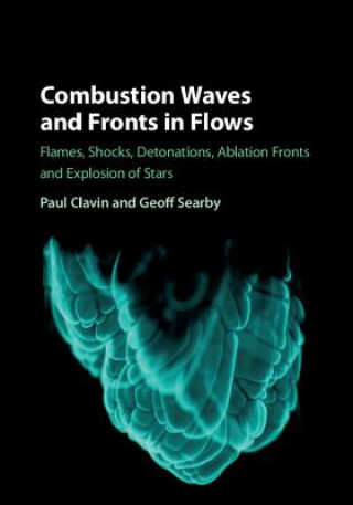 Kniha Combustion Waves and Fronts in Flows Paul Clavin