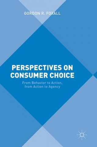 Knjiga Perspectives on Consumer Choice Gordon R. Foxall
