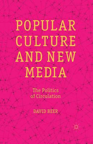 Kniha Popular Culture and New Media David Beer