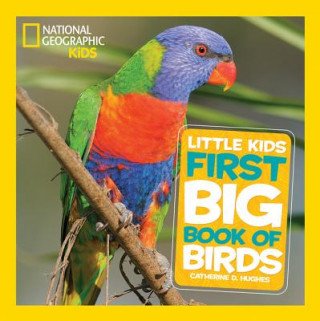 Книга Little Kids First Big Book of Birds National Geographic