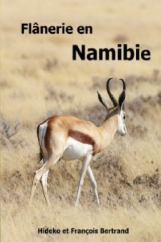 Carte Flânerie en Namibie Hideko Bertrand