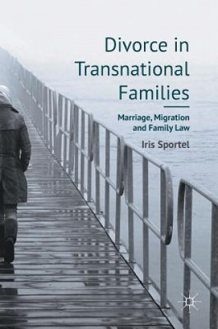 Kniha Divorce in Transnational Families Iris Sportel