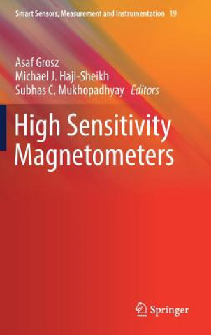 Knjiga High Sensitivity Magnetometers Asaf Grosz