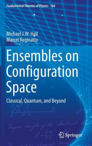 Книга Ensembles on Configuration Space Michael Hall