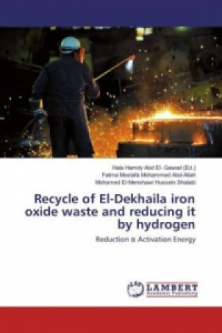 Könyv Recycle of El-Dekhaila iron oxide waste and reducing it by hydrogen Fatma Mostafa Mohammed Abd-Allah