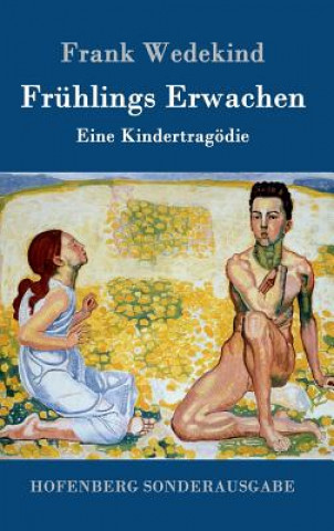 Buch Fruhlings Erwachen Frank Wedekind