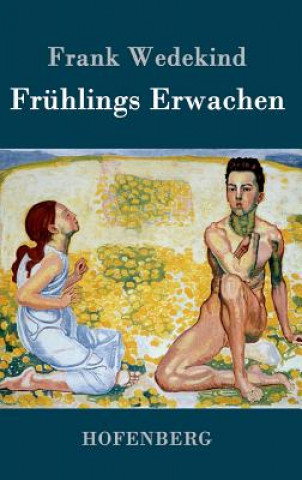 Buch Fruhlings Erwachen Frank Wedekind