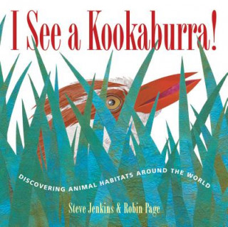 Kniha I See a Kookaburra! Steve Jenkins