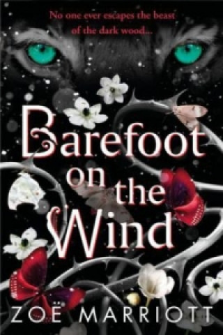 Książka Barefoot on the Wind Zoe Marriott