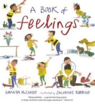 Könyv Book of Feelings Amanda McCardie
