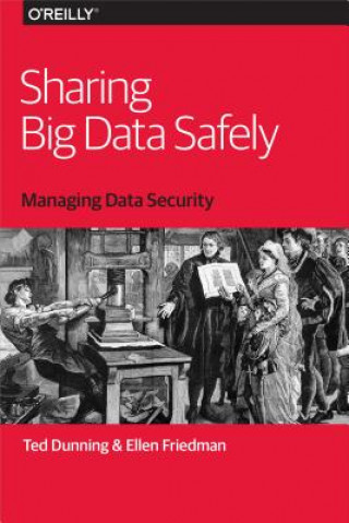 Könyv Sharing Big Data Safely Ted Dunning
