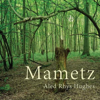 Carte Mametz Aled Rhys Hughes