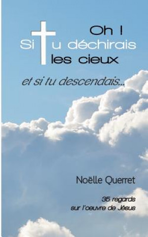 Buch Oh! Si tu dechirais les cieux et si tu descendais... Noelle Querret