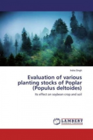 Könyv Evaluation of various planting stocks of Poplar (Populus deltoides) Indra Singh