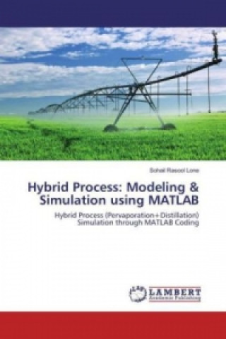 Книга Hybrid Process: Modeling & Simulation using MATLAB Sohail Rasool Lone