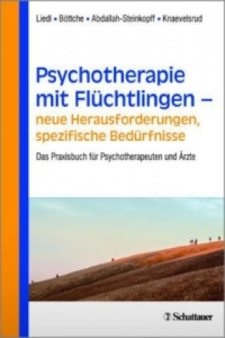 Kniha Psychotherapie mit Flüchtlingen - Neue Herausforderungen, spezifische Bedürfnisse Alexandra Liedl