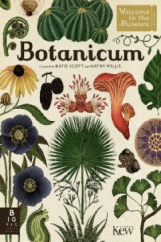 Kniha Botanicum Kathy Willis