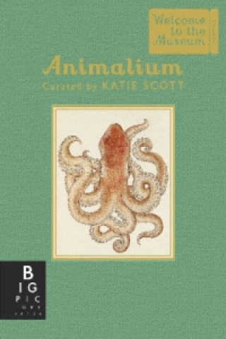 Carte Animalium (Mini Gift Edition) Jenny Broom