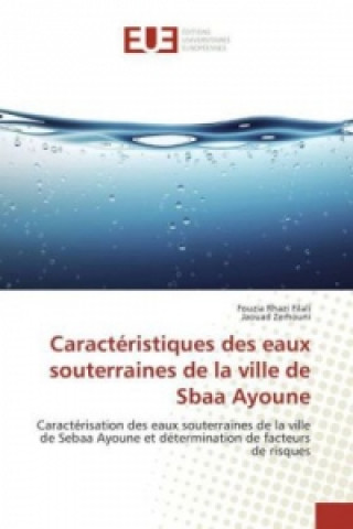 Libro Caractéristiques des eaux souterraines de la ville de Sbaa Ayoune Fouzia Rhazi Filali