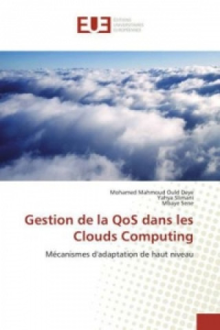 Buch Gestion de la QoS dans les Clouds Computing Mohamed Mahmoud Ould Deye