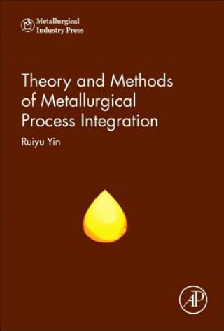 Kniha Theory and Methods of Metallurgical Process Integration Ruiyu Yin