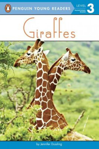 Buch Giraffes Jennifer Dussling