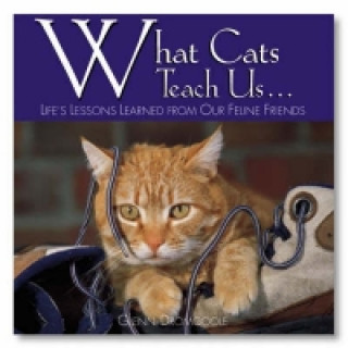 Buch What Cats Teach Us... Glen Dromgoole