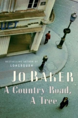 Book Country Road, A Tree Jo Baker