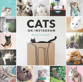 Kniha Cats On Instagram @cats_of_instagram