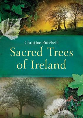 Książka Sacred Trees of Ireland Christine Zucchelli