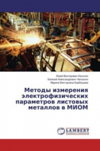 Könyv Metody izmereniya jelektrofizicheskih parametrov listovyh metallov v MIOM Jurij Viktorovich Batygin
