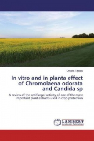 Carte In vitro and in planta effect of Chromolaena odorata and Candida sp Orestis Tziolas