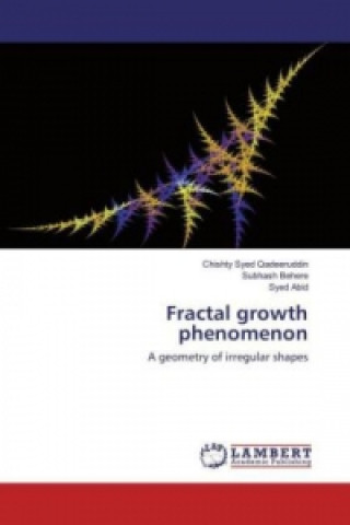 Kniha Fractal growth phenomenon Chishty Syed Qadeeruddin