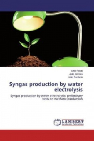 Książka Syngas production by water electrolysis Siria Rossi