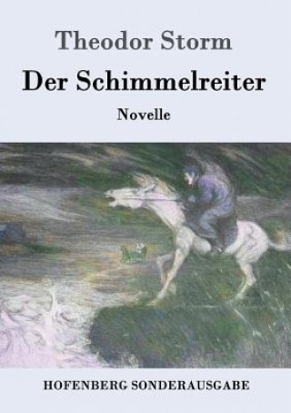 Kniha Schimmelreiter Theodor Storm