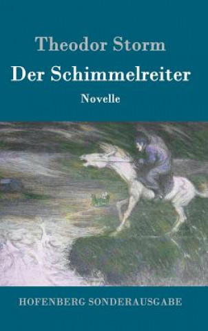 Книга Der Schimmelreiter Theodor Storm